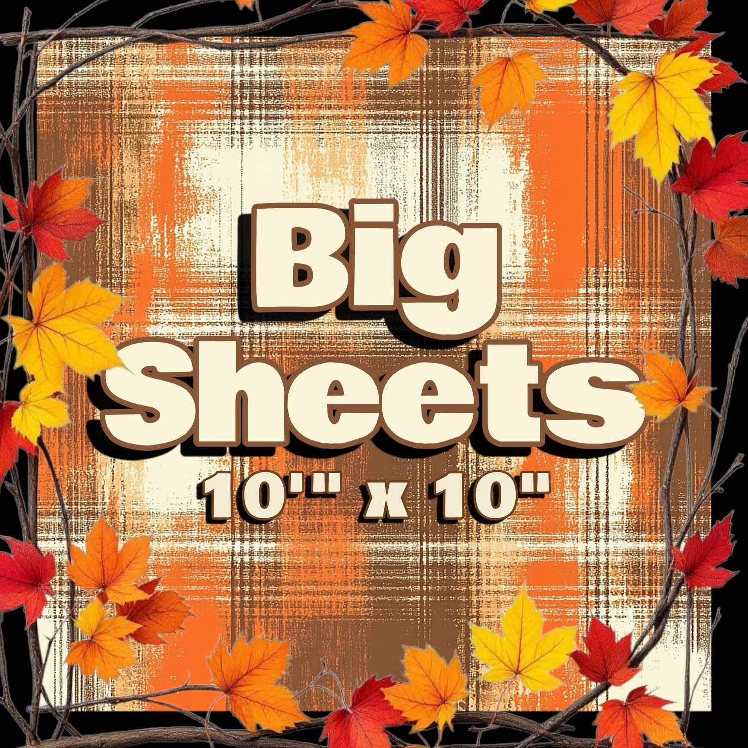 Big Sheets (10x10)