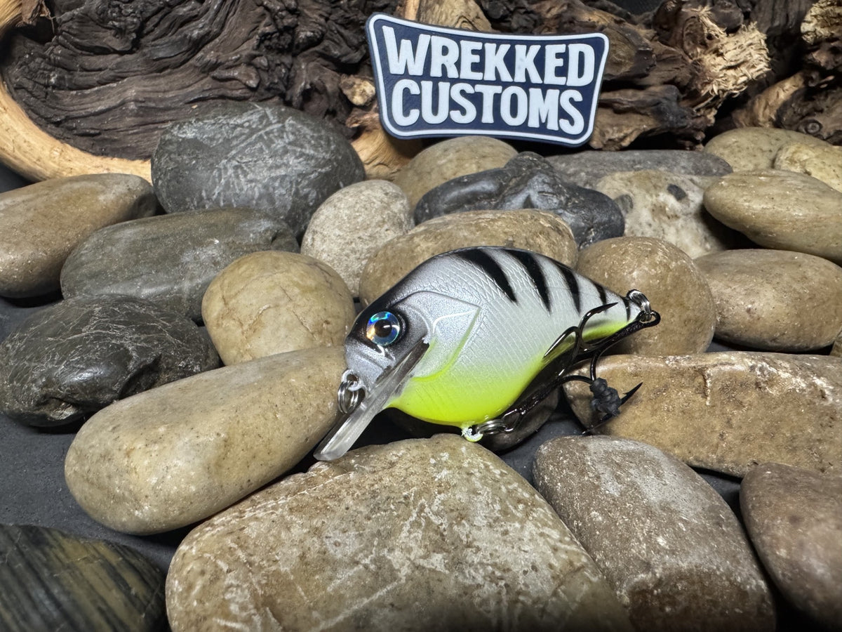 Square Bill 1.5 Scrank White Perch Yellow Belly