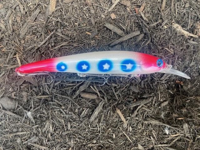 Walleye Shallow Bandit Captain