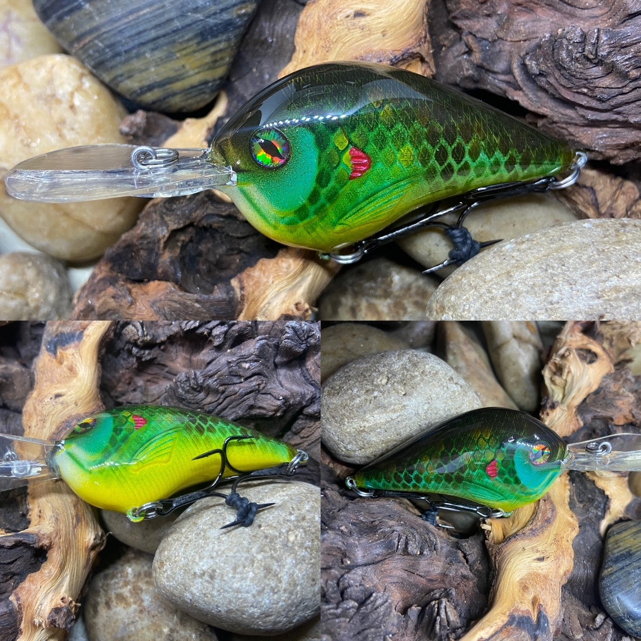 DT KO Dirty Bluegill