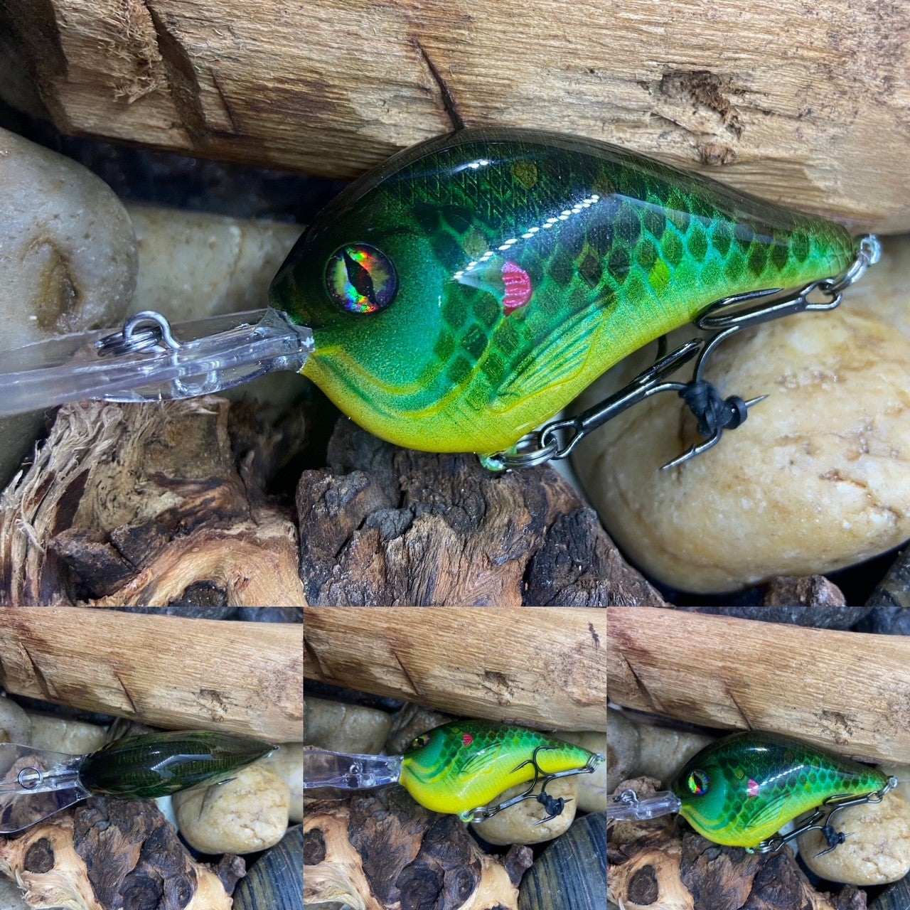 DT KO Dirty Bluegill
