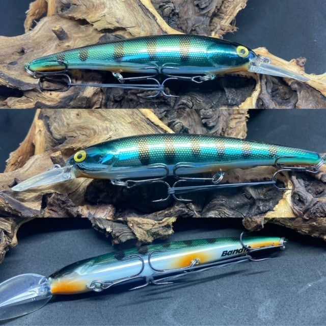 Walleye Shallow Bandit Green Perch