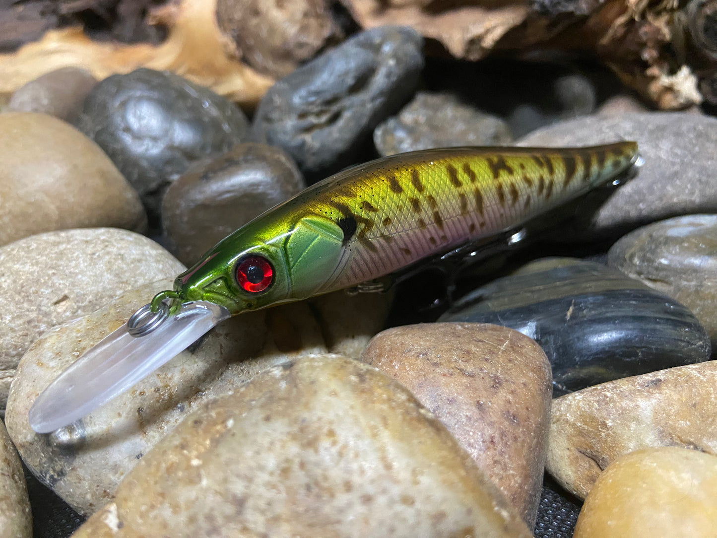 110+1 Speckled Bluegill