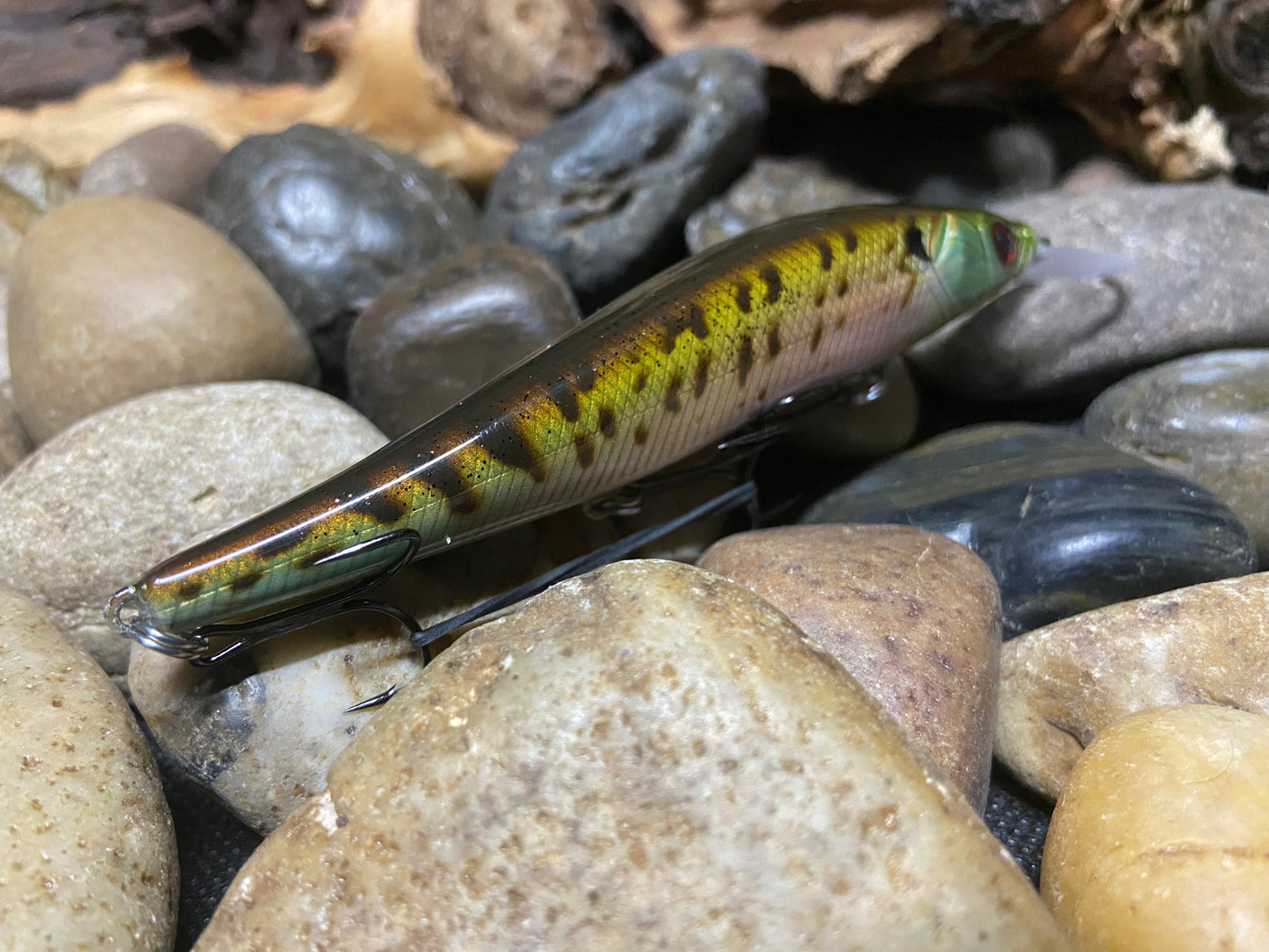 110+1 Speckled Bluegill