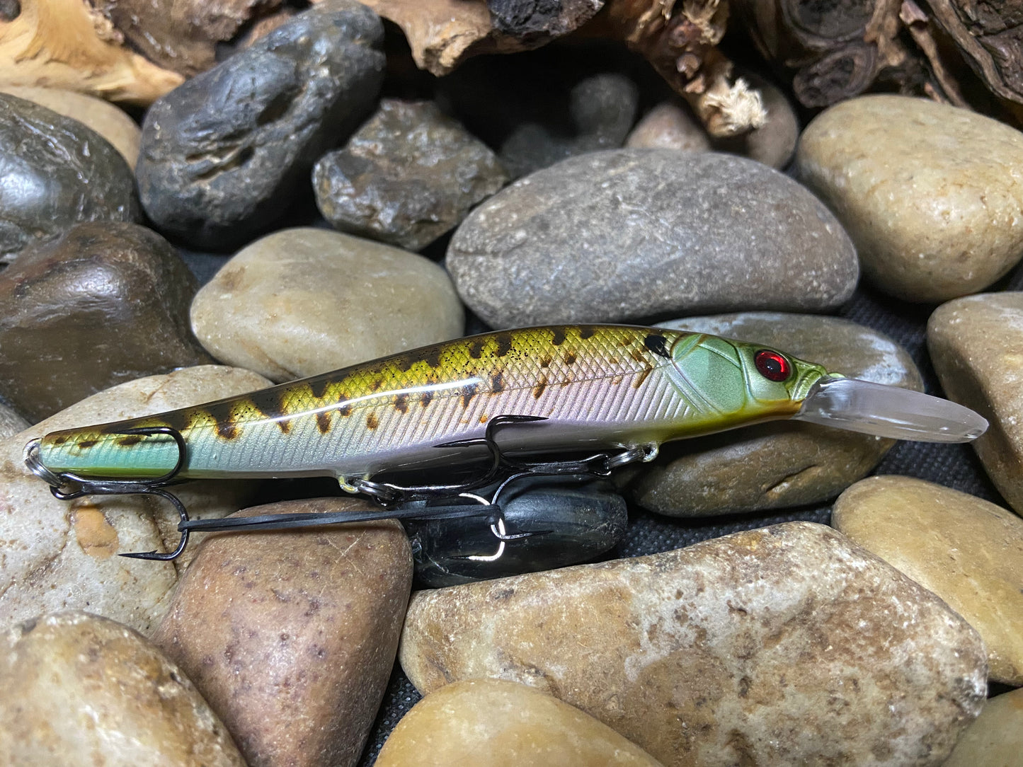 110+1 Speckled Bluegill