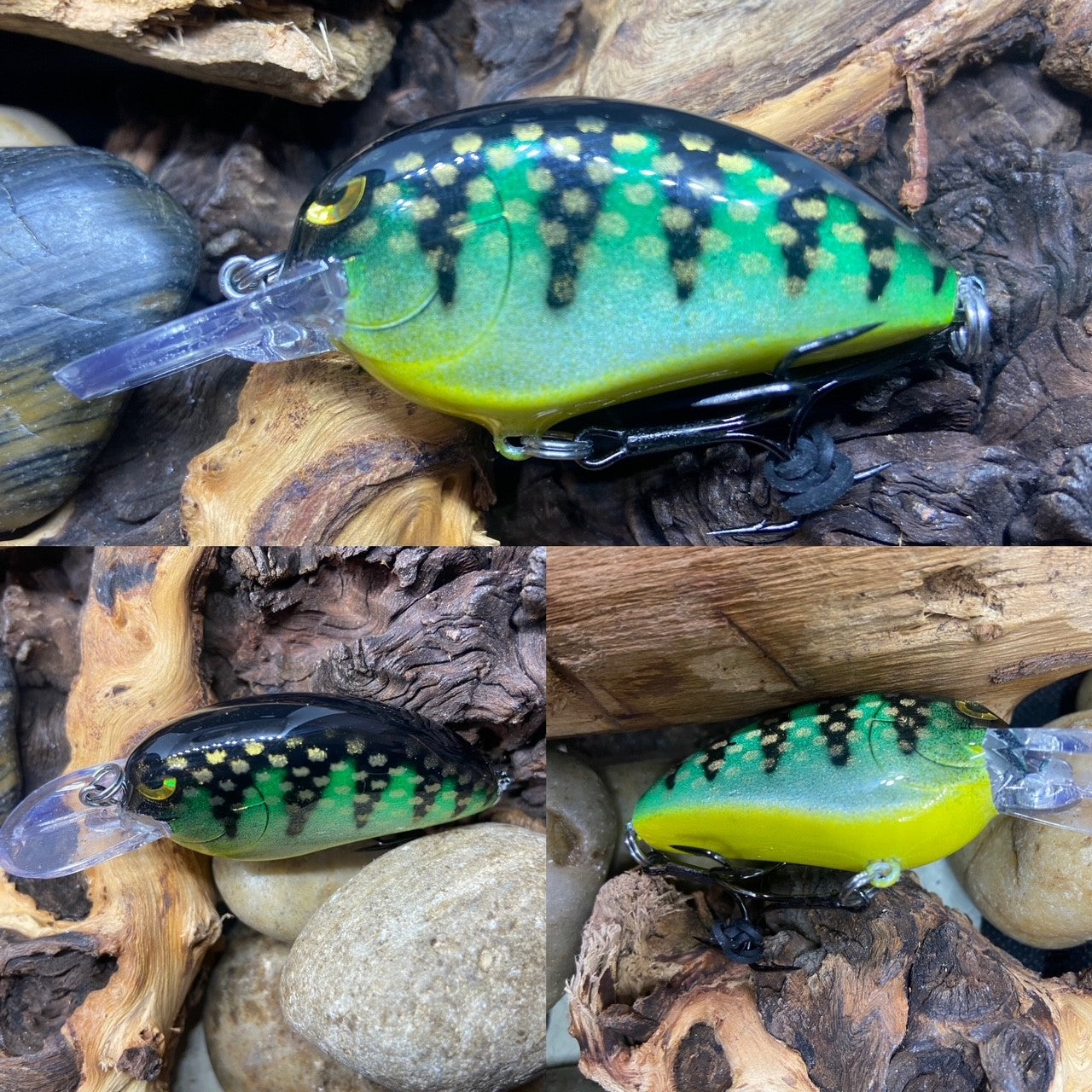 Little Jon KO Green Perch