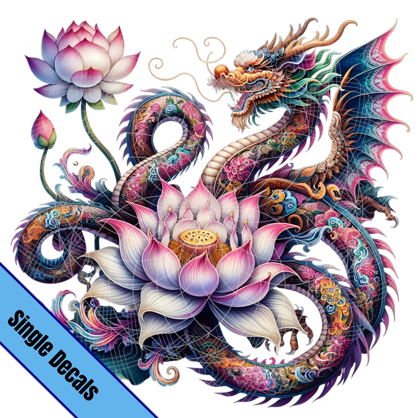Colorful Dragon