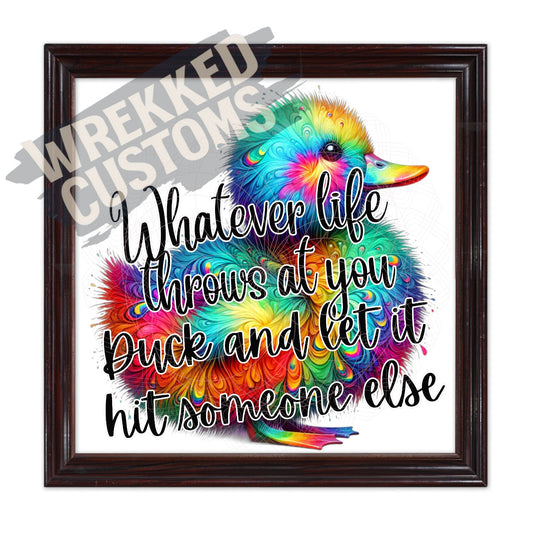 Whatever Life Throws Duck