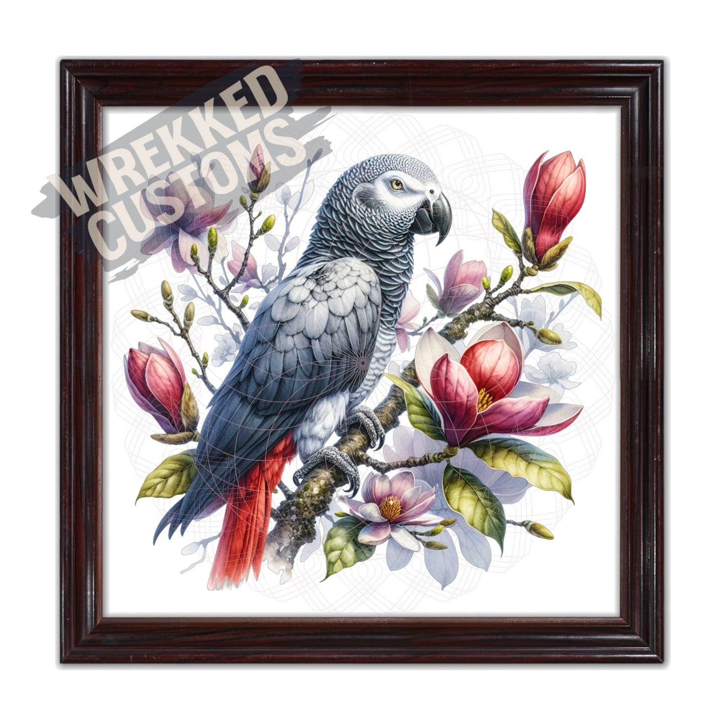 African Gray Parrot