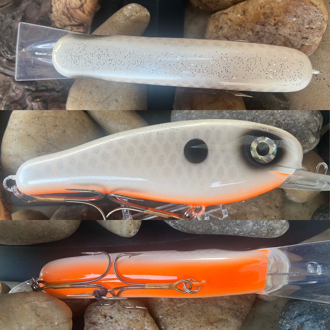 Toothache Hot White Fish