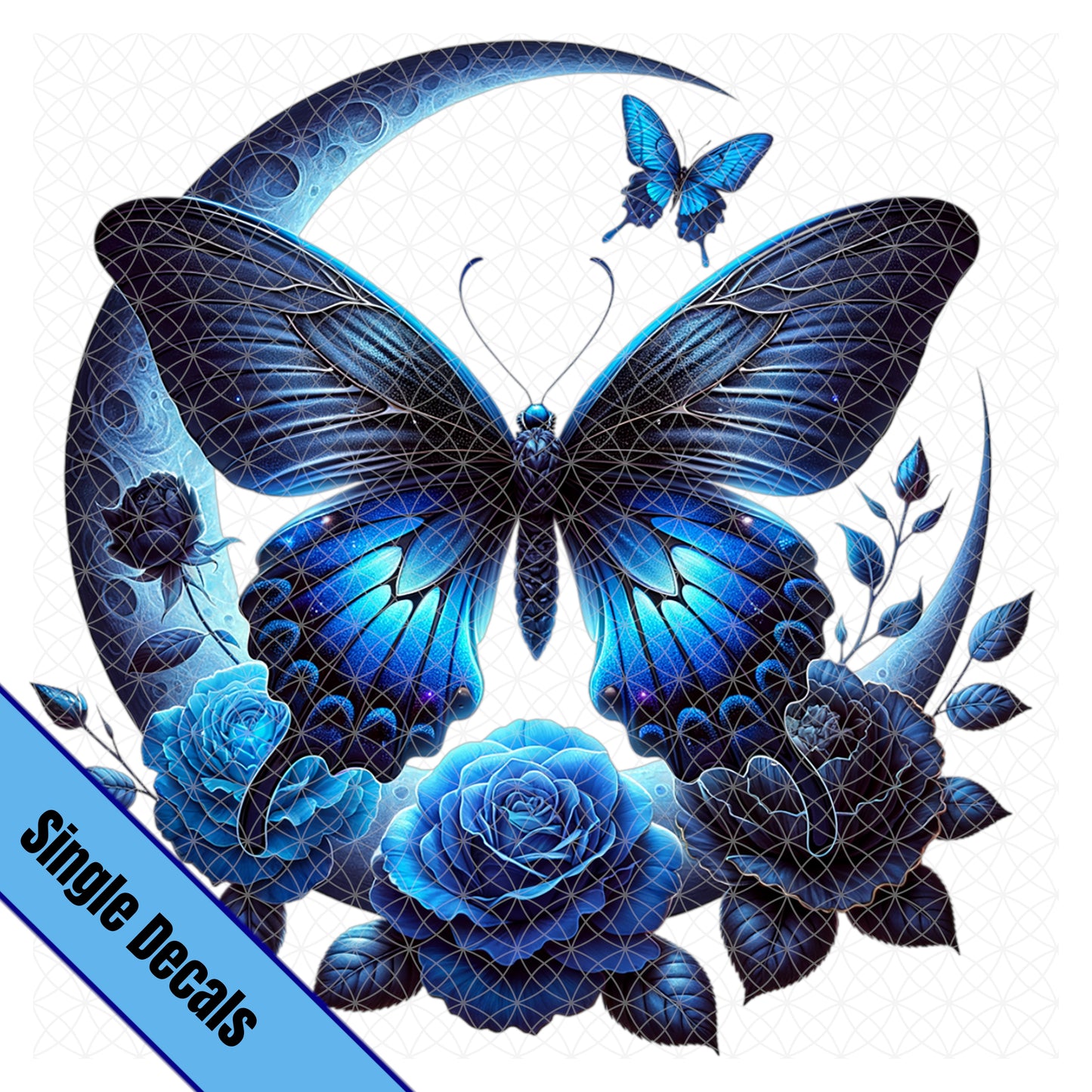 Blue Moon & Butterfly