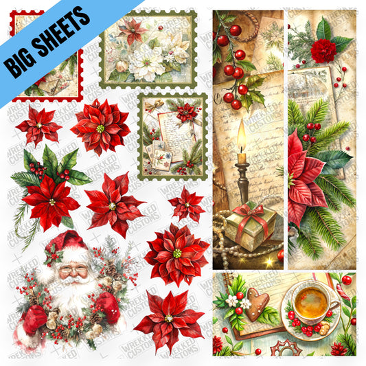 Poinsettia Mix (BS)