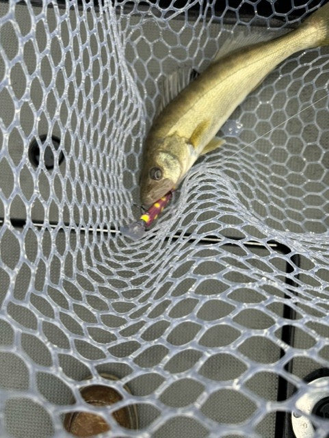 Dead Eye Crank Bait Pinkie Shortcake