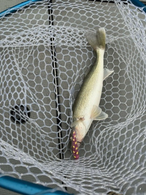 Dead Eye Crank Bait Pinkie Shortcake