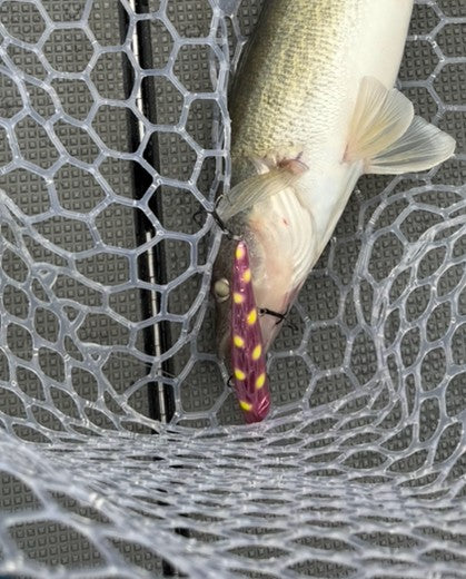 Dead Eye Crank Bait Pinkie Shortcake