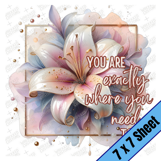 XL Lily ...where you need to be