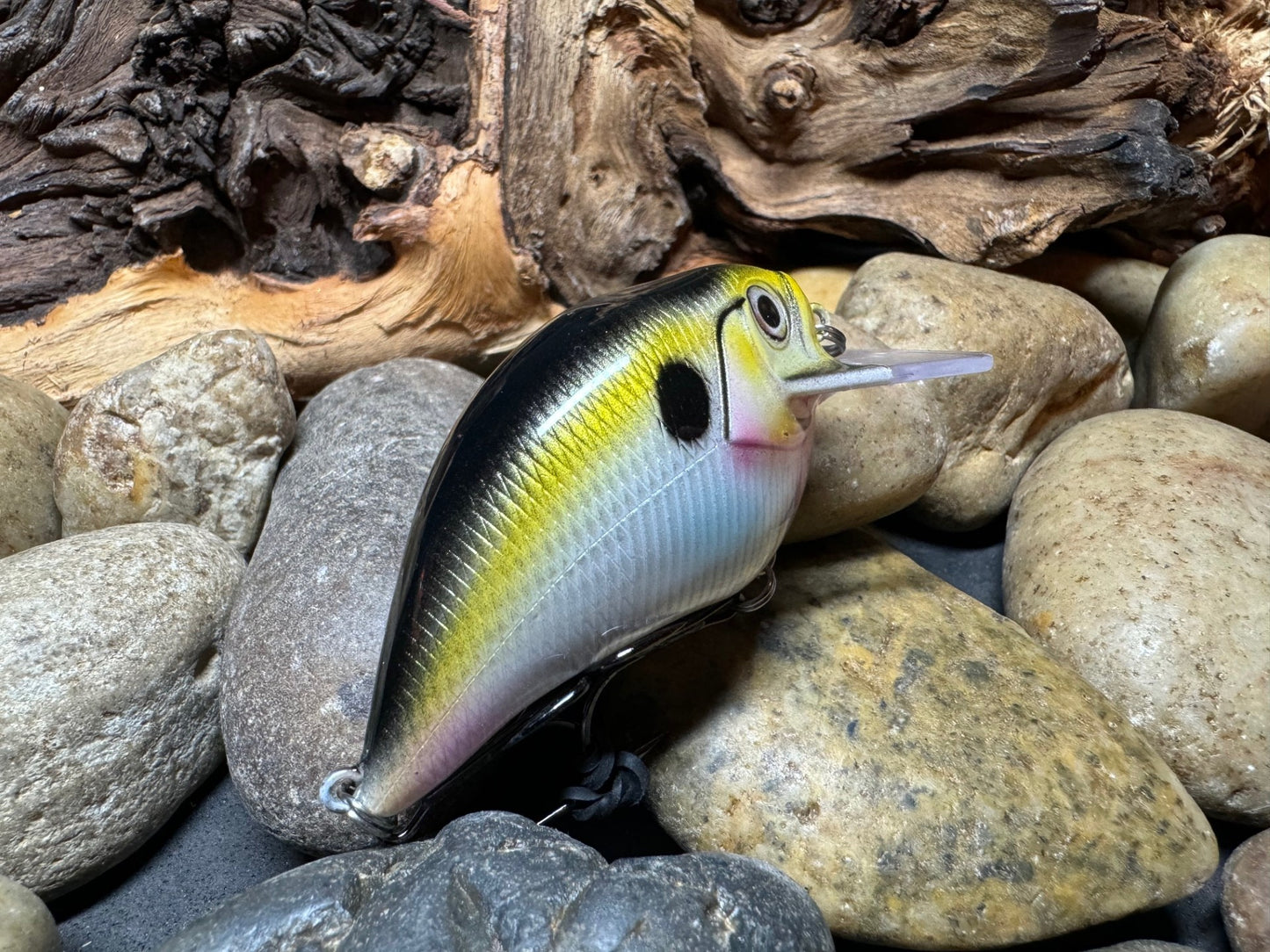 Square Bill Scrank Natural Shad