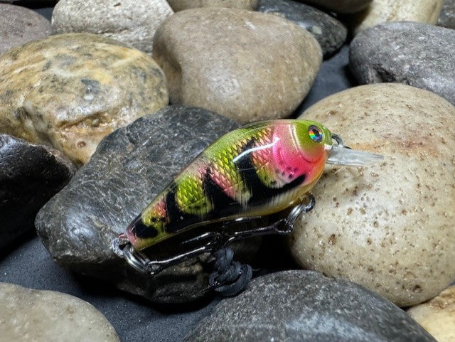 .5 Square Bill Yellow Belly Craw