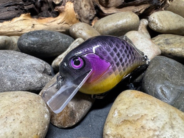 Square Bill Scrank Purple Gill