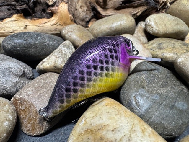 Square Bill Scrank Purple Gill