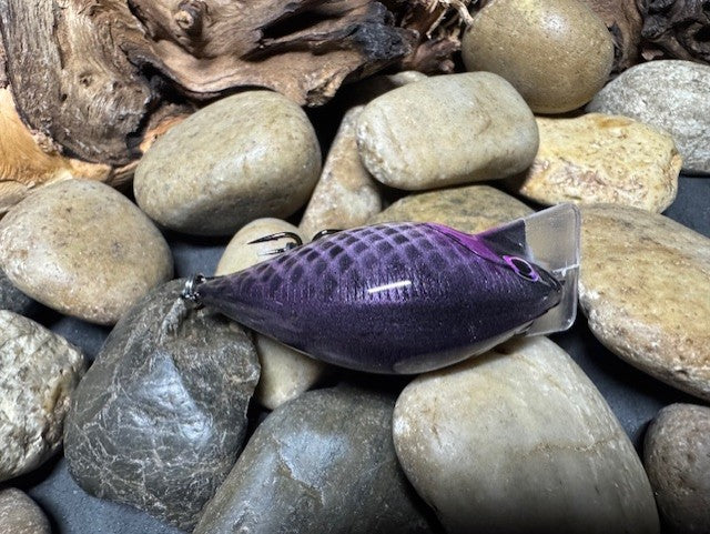 Square Bill Scrank Purple Gill
