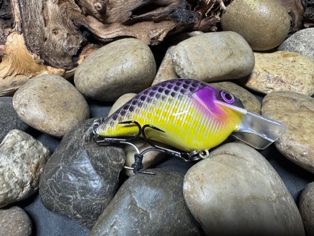Square Bill Scrank Purple Gill