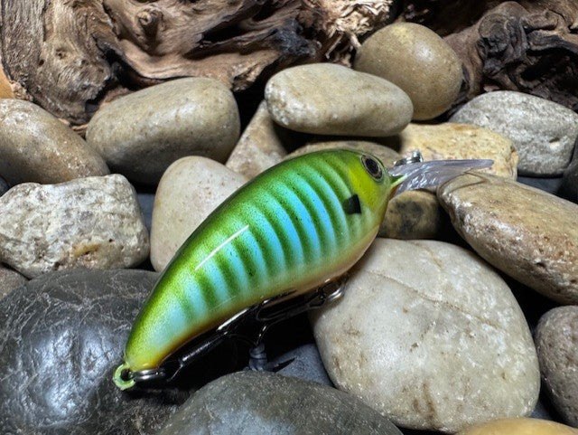 Deep lil Crank Blue Sided Green Barred Gill