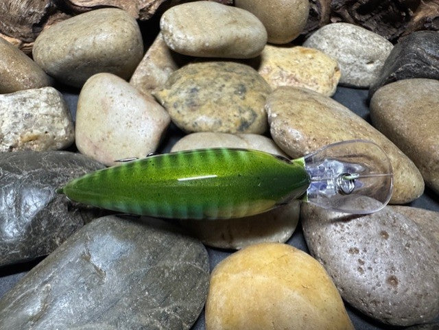 Deep lil Crank Blue Sided Green Barred Gill