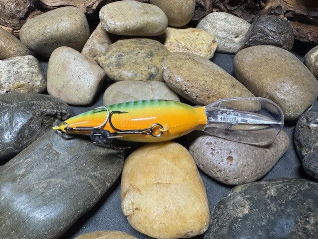 Deep lil Crank Blue Sided Green Barred Gill