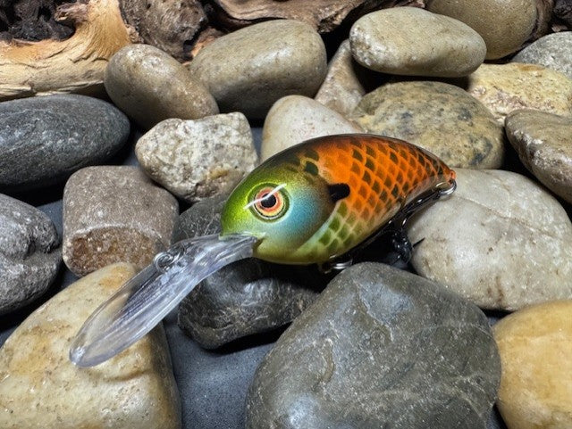 Deep lil Crank Orange Sided Gill
