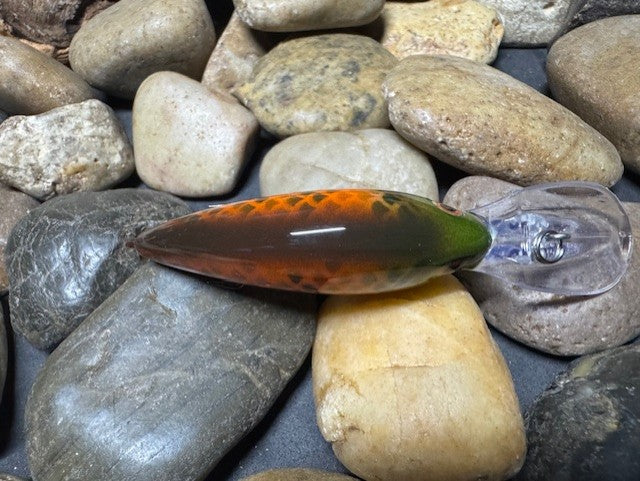Deep lil Crank Orange Sided Gill