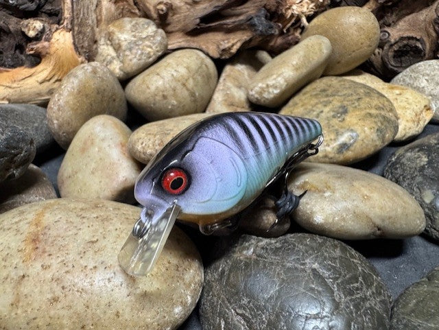 1.5 Square Bill Purple Perch