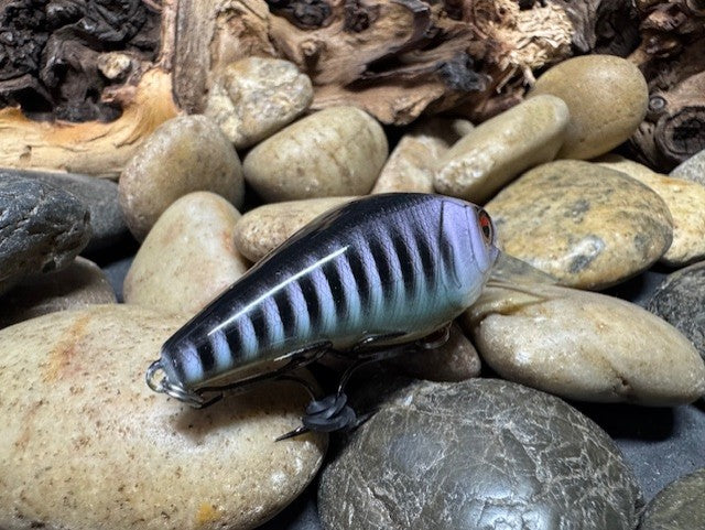 1.5 Square Bill Purple Perch