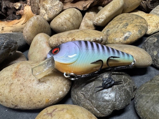 1.5 Square Bill Purple Perch