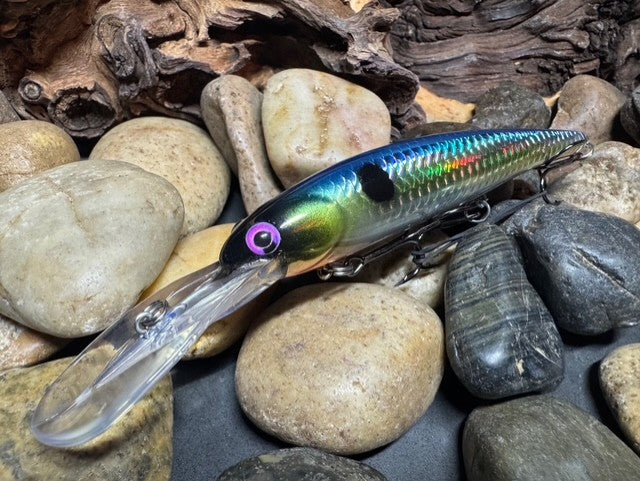 Walleye Deep Bandit J.M. Shad