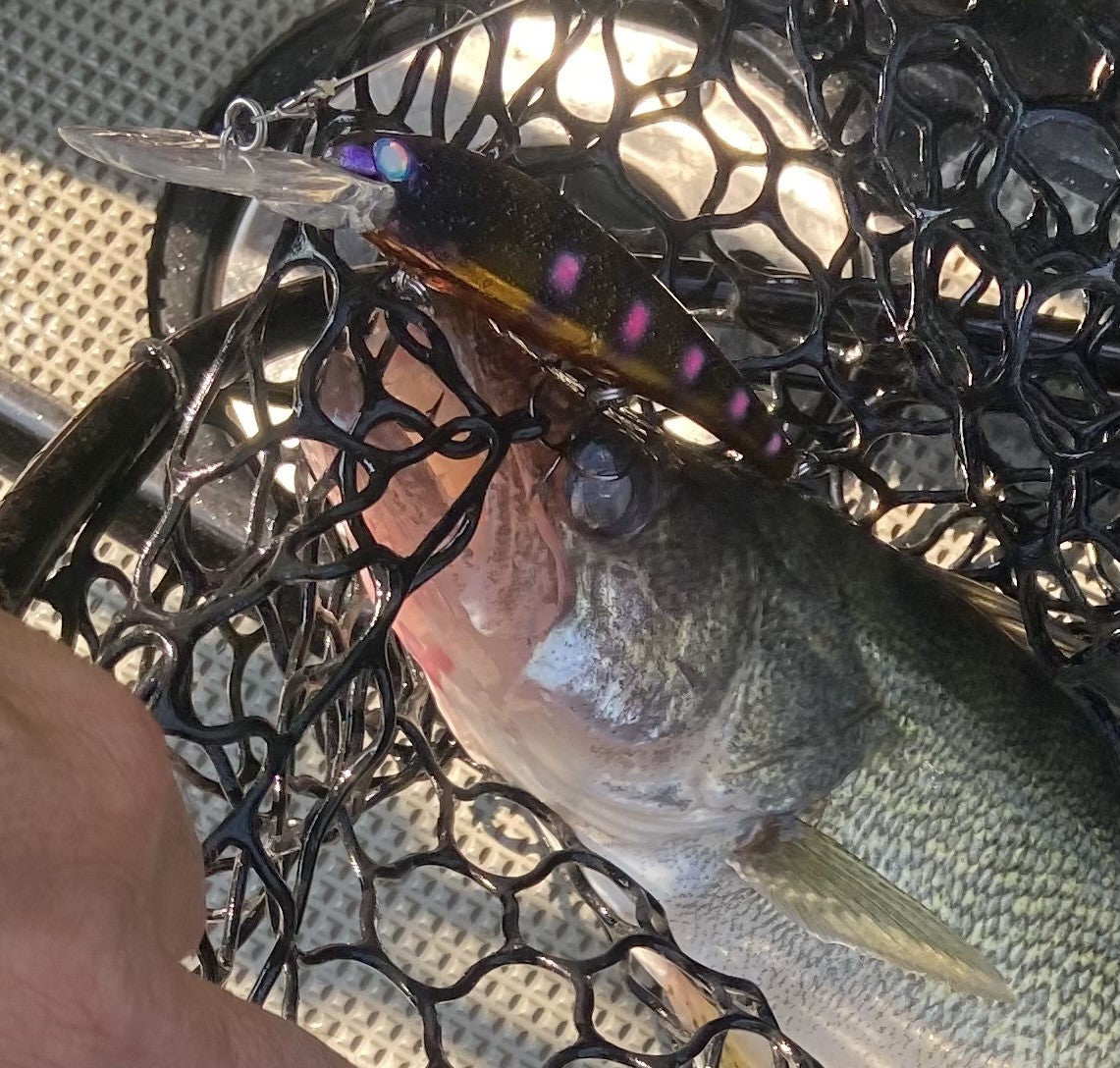 Walleye Deep Bandit The G.W.