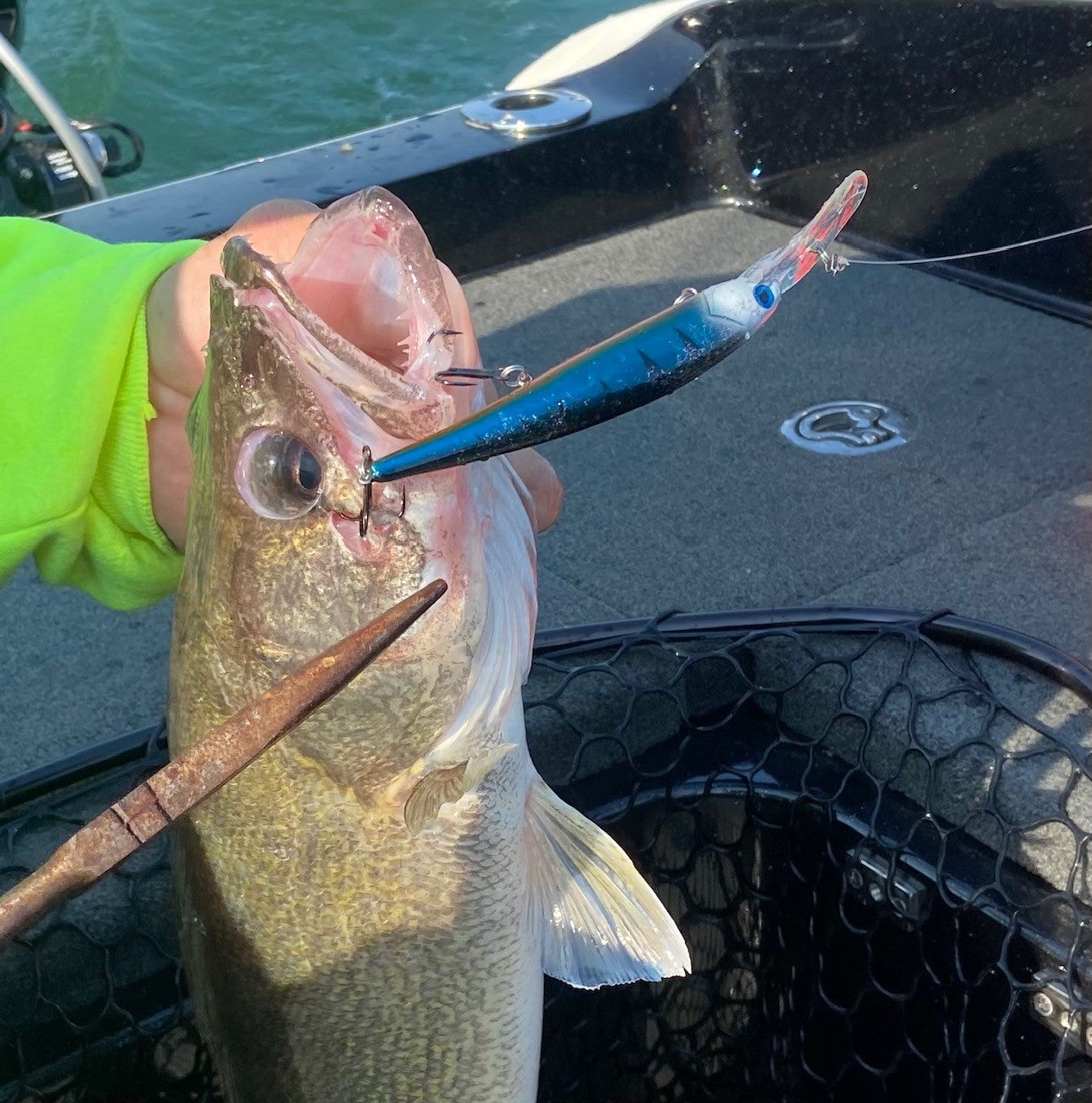 Walleye Deep Bandit Winter Soldier