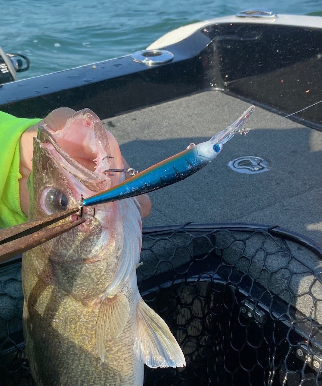 Walleye Deep Bandit Winter Soldier