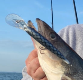 Walleye Deep Bandit Silver Walleye