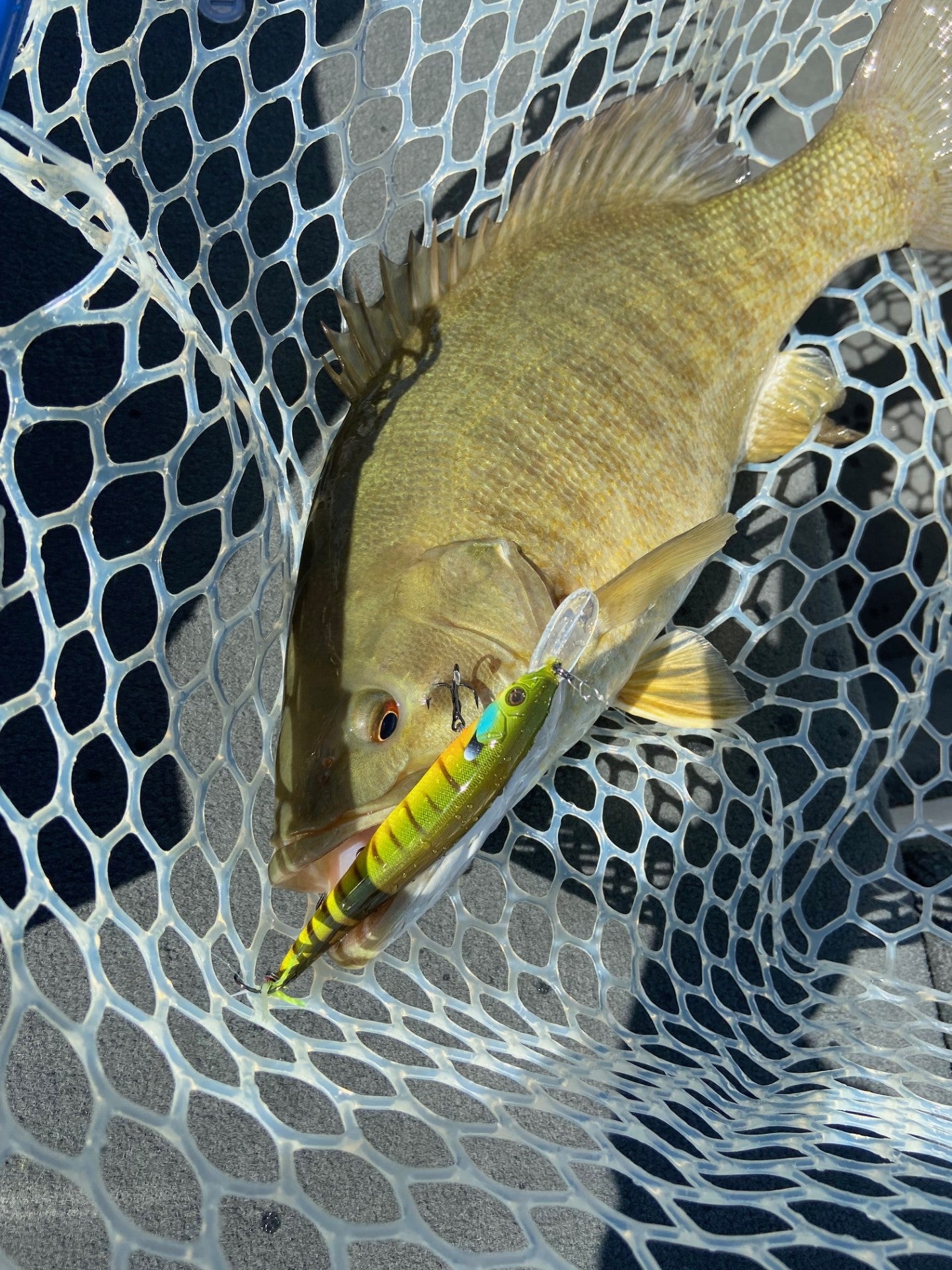 110 Speckled Bluegill Jerkbait