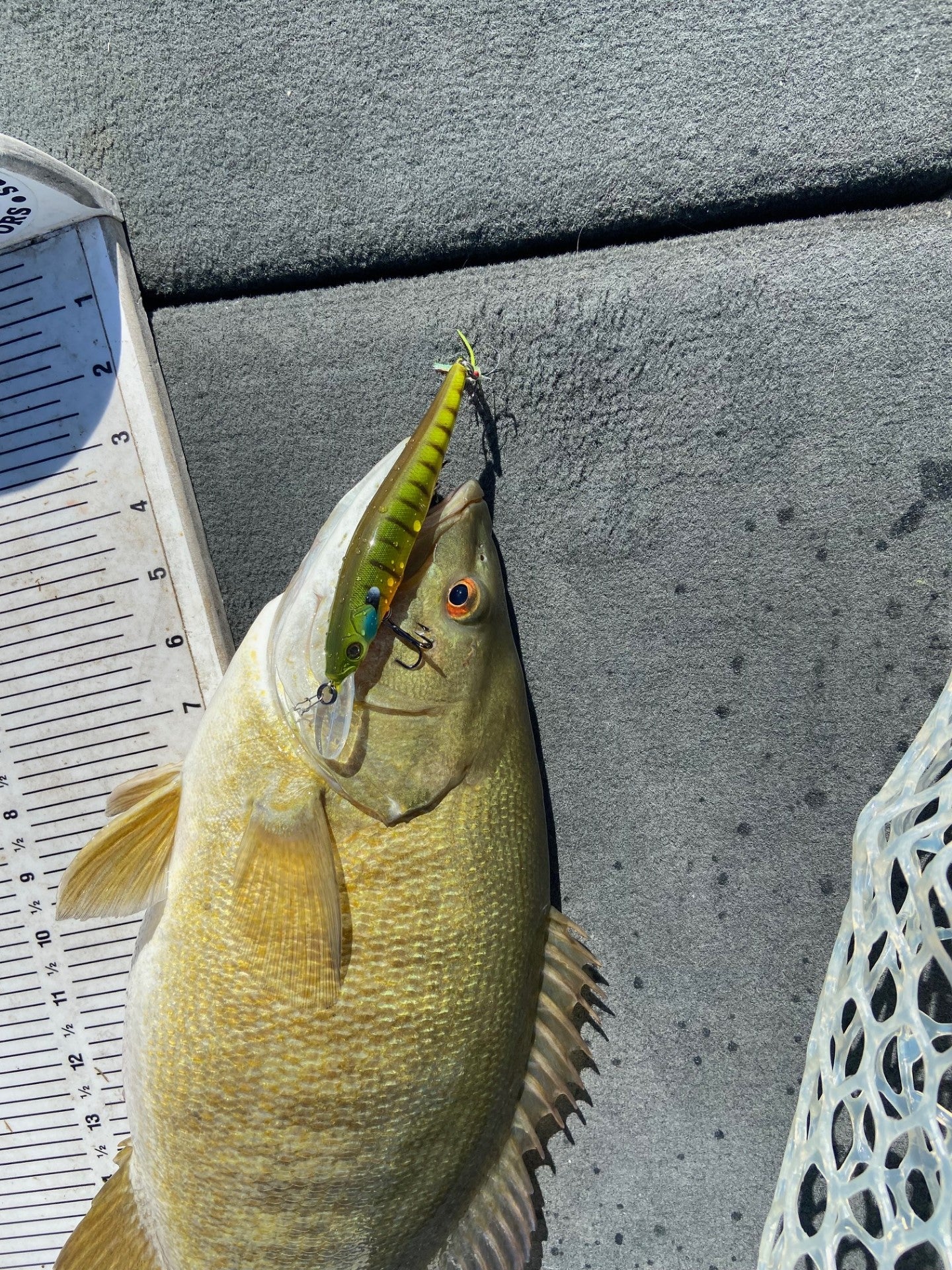 110 Speckled Bluegill Jerkbait