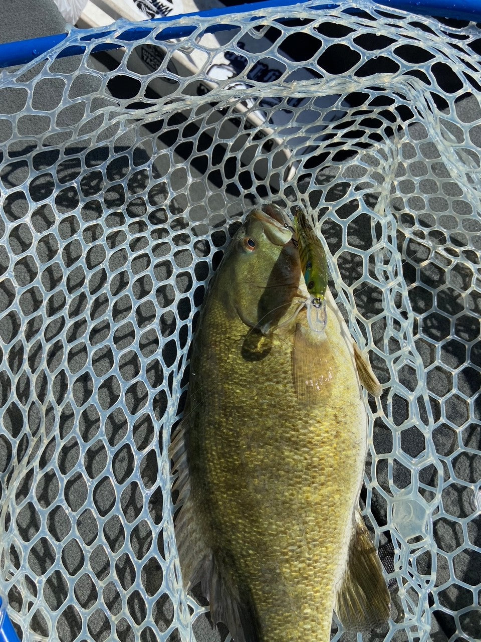 110 Speckled Bluegill Jerkbait
