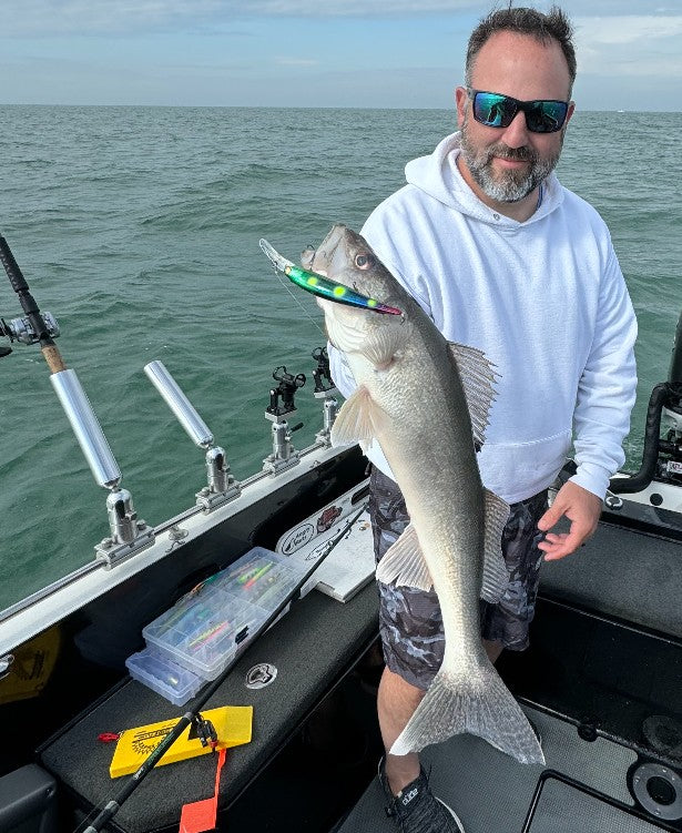 Walleye Deep Bandit Spotlight