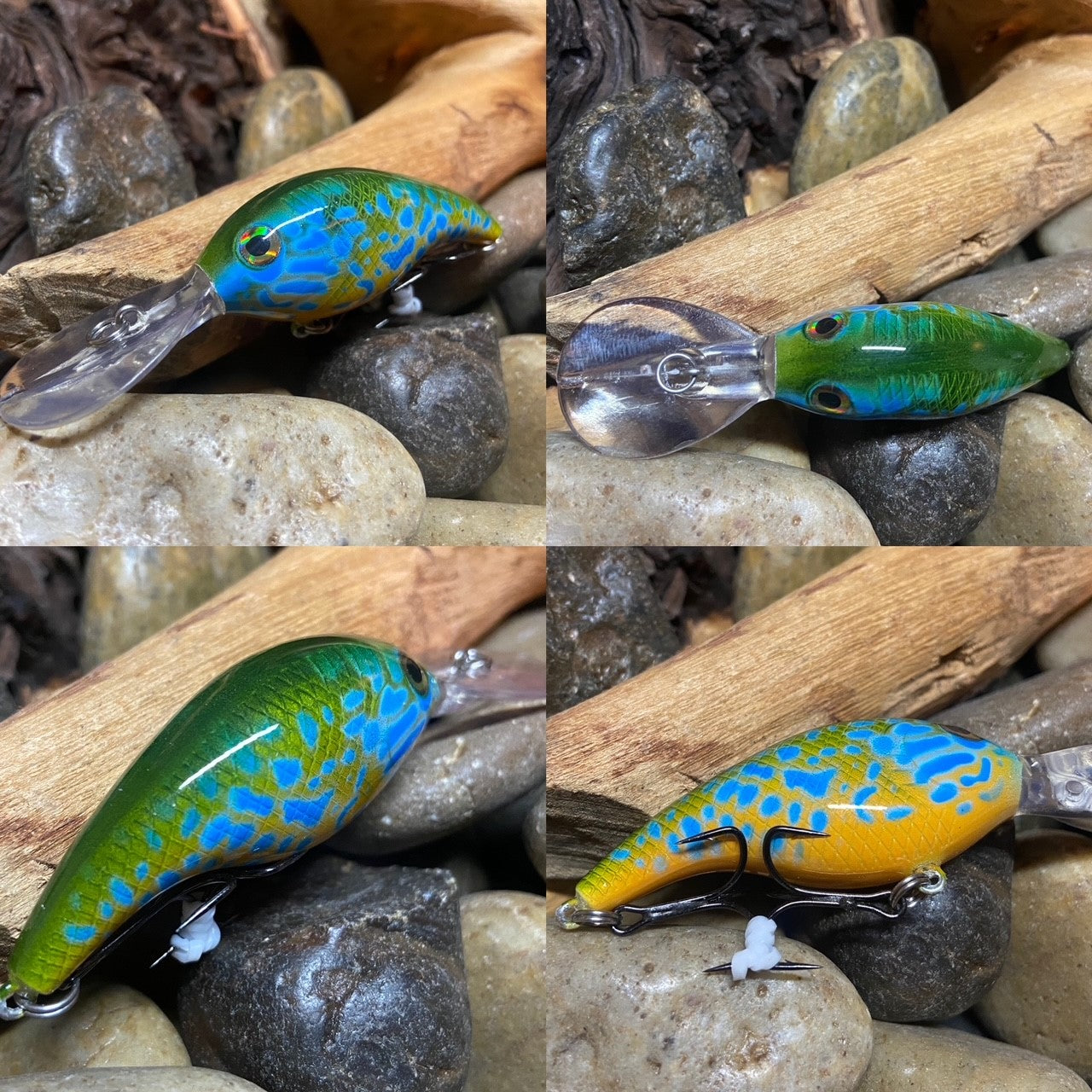 Sexy Shad Crank Bait Orange Bodied Pumpkin Seed