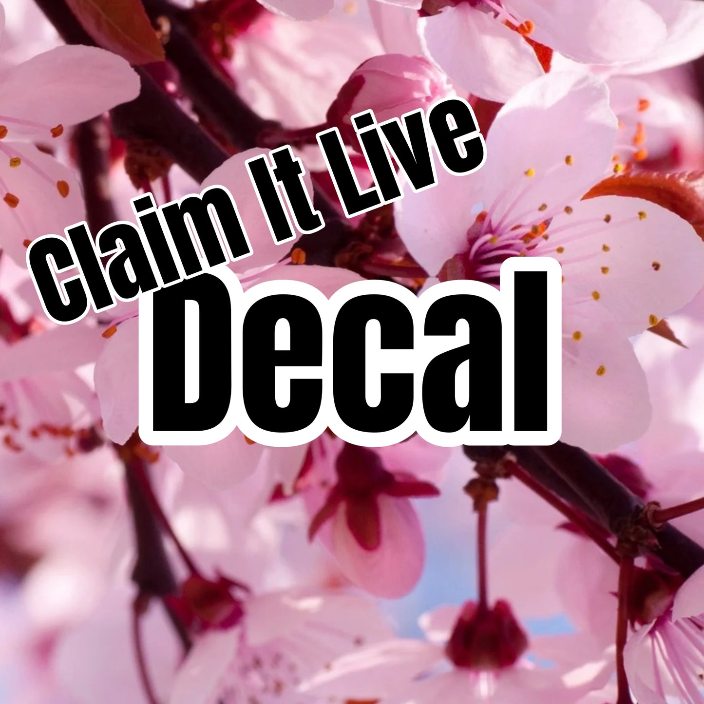 CIL Decal