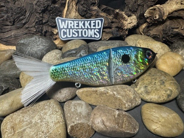 7" Fan Tail Glide Bait Sexy Shad