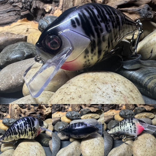 Square Bill 2.0 Scrank Purple Crappie (Light Silver Glitter)