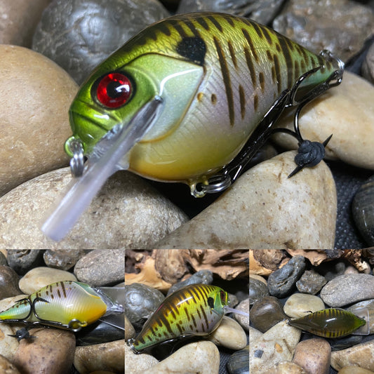 Square Bill Scrank Bluegill Pattern