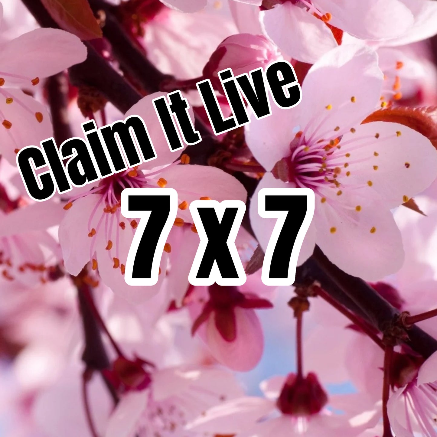 CIL 7x7/ Half Sheet