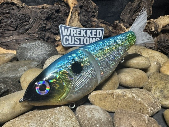 7" Fan Tail Glide Bait Sexy Shad